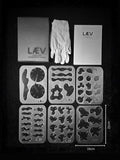 LÆV Starter Box - Choose 6 Plates